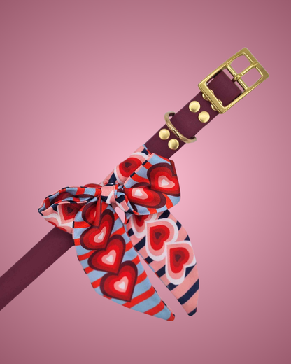 Biothane halsband Rasp Berry