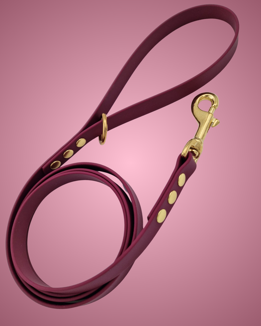 Biothane lijn  Rasp Berry